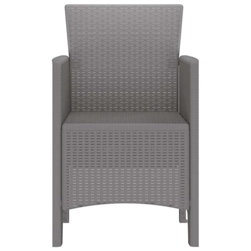 Chaises de jardin faciles à entretenir lot de 2 gris clair durables