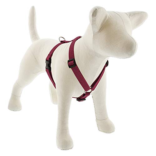 Lupine Microbatch Collection Udderly Cows Adjustable Collar