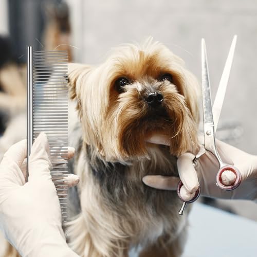 3 Stück Edelstahl Hundekamm Hunde Kamm Zur Fellpflege Tierkamm Für Katzen Hundekämme Stahlkamm Zur Hundepflege Feinzahniger Kamm Katzenkamm Für Verfilztes Haar Metallkamm Für Haustiere(19cm)