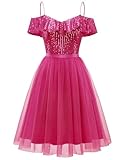 Wedtrend Womens Sparkly Sequin Dress Swing Cocktail Dresses Short Tulle 80s Prom Dress for Women Glitter Formal Dresses for Teens WTS6002Fuchsia2XL