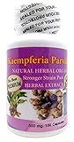 The Best Premium Kaempferia Parviflora Natural Herbal Powder 500mg 100 Vegetarian Capsules