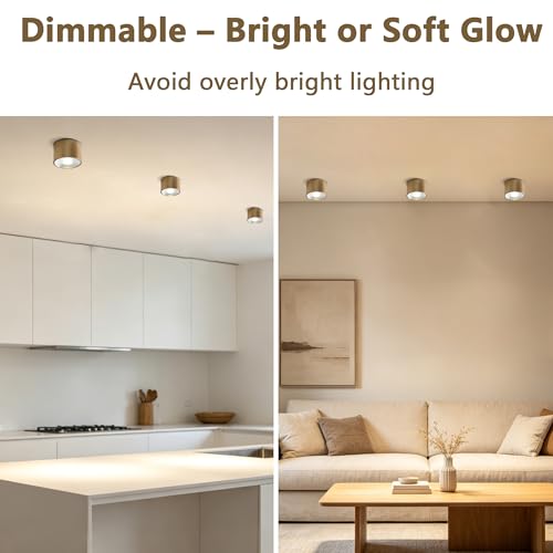 Image of Sedelan Mini Brass Ceiling Spot Light, 4.33 Inch Small Flush Mount Fixture, 7W 4500K LED Cylinder Lamp, Modern Indoor Accent Light for Closet Hallway Staircase Bedroom