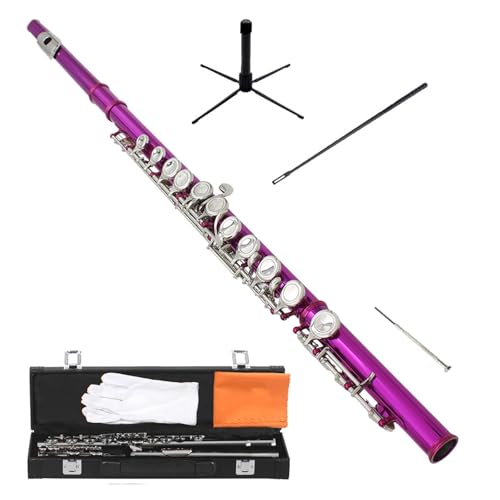 �t���[�g�y�� 16 E�L�[C�j�b�P�����b�L�N���[�Y�h�z�[���t���[�g�V���o�[�y��(Rose red)