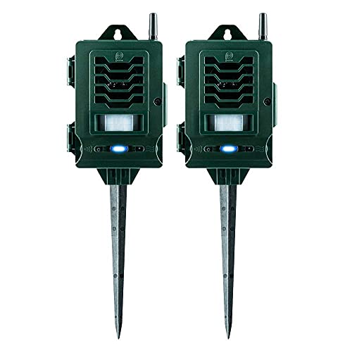 Amazon.co.uk Best Sellers The most popular items in Sonic Cat Repellents