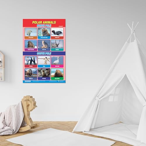 Image of ESCAPER Polar Animals Educational Charts for Kids Learning (11.5 x 17.5 inches), 300 GSM Paper Laminated, Self Adhesive Back, Learning Chart, Kids Study Material, Educational Posters