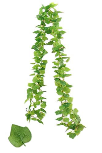 Tierneys yeBAj[YztFCNO[ K[h tFCN[t CeA lHϗtA Ǌ| ݂艺  O x_ K[fjO (1, , 2m jc)