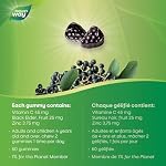 Nature's Way Gummies De Soutien Immunitaire Sambucus – Sureau Avec Vitamine C & Zinc – Soutient La Fonction Immunitaire Et Soulage Les Symptômes Du Rhume & De La Grippe – Végétarien, Sans Gluten Pour Adultes & Enfants 4+ – 60 Gummies