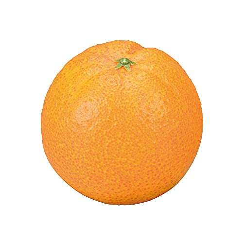 dpHiTv lHʕ ʎ IW 1(j1463-1-1)