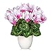 Kunstblumen Klein Künstliche Cyclamen PersicumBlumen im Topf Deko kunstblumen wie echt Gefälschte Hortensien seidenblumen für Hochzeitsdeko, Tischdeko, Wohnzimmer, Schlafzimmer, Zimmer Deko, Rosa Klein günstig Kaufen-Kunstblumen Klein Künstliche Cyclamen PersicumBlumen im Topf Deko kunstblumen wie echt Gefälschte Hortensien seidenblumen für Hochzeitsdeko, Tischdeko, Wohnzimmer, Schlafzimmer, Zimmer Deko, Rosa
