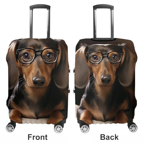 Carry on Luggage Cover Dachshund Dog Suitcase Covers for Luggages Tsa Approved Travel Luggage Sleeve Protector Elastic Suitcase Protector Anti-Scratch Washable Fits 19-30 Inch Case -L3