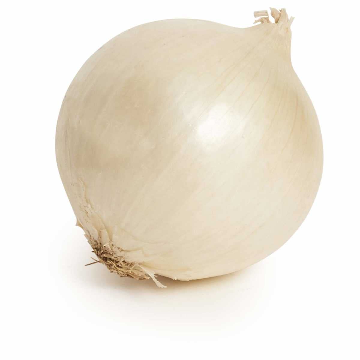 Tim Tim Agro White Sweet Spanish Onion | 500G Hybrod Seeds Per Packet | F1 Imported Hybrid Seeds | 90% Germination Guarantee Rates Full Of Flavor | Seeds For Planting (B09MZ88RXW) Amazon Price History, Amazon Price Tracker