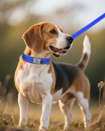 Image of Joytale Dog Collar for Medium Dogs, Neoprene Padded and Adjustable, Reflective Wide Heavy Duty Pet Collars with Durable Metal Belt Buckle for Walking, Navy Blue, M