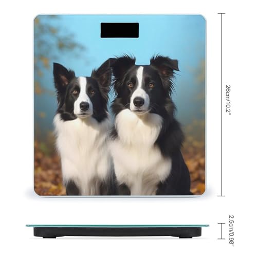 Báscula digital Border Collie para peso corporal 400 lb miniatura 2