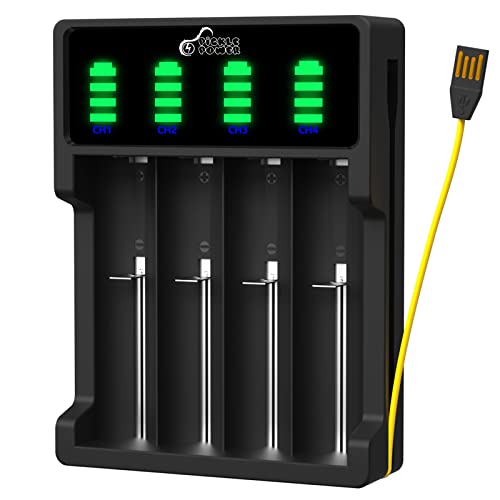 18650 Battery Charger,AA Battery Charger,Universal Smart LED 4 Slots Charger for 3.7V Li-ion Rechargeable Battery 18650 26650 21700 18350 17670 17500 16340(RCR123) 14500, Ni-MH Ni-CD AA AAA Batteries