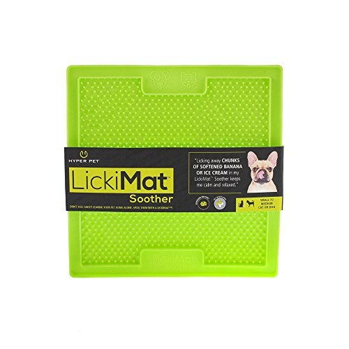 Best Entertainment For Dogs