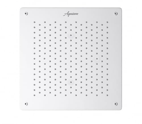 Image of Aquieen 2 inlet rain and mist shower SS304 Ceiling Shower (16 inch x 16 inch Rain)