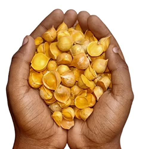 RAMRAJ Kashmiri Garlic Lehsun | Himalayan Single Clove Garlic Grade-A Qualilty 200 Gram | Herbal Product (B0CGZQT9BJ) Amazon Price History, Amazon Price Tracker