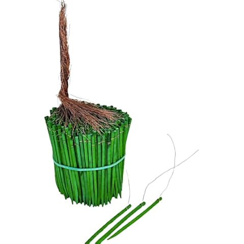 Wired Wood Picks 4" or 6", 400 Picks, Green Wood with Copper Wires (4 Inch 8 Oz 400 Pcs) Cover
