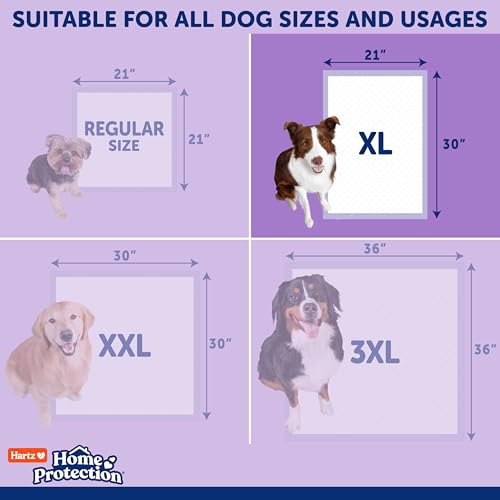 Image of Hartz Home Protection Super Absorbent Odor Eliminating Lavender Scented No Leaks Dog Pads, XL 60 Count
