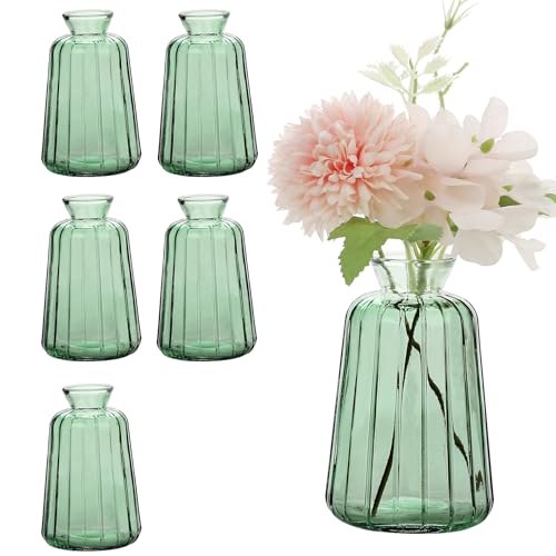 Avmvnvc Kleine Glasvasen - 6er Set Kleine Vasen für Tischdeko Hochzeit -...