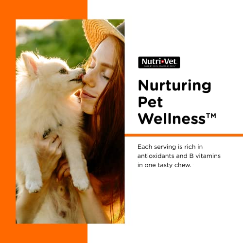 Nutri-Vet Brewer's Yeast And Garlic Chewable Tablets For Dogs | Veterinarian Formulated To Support The Immune System And A Healthy Skin & Coat | 500 Chewable Tablets #TOP3