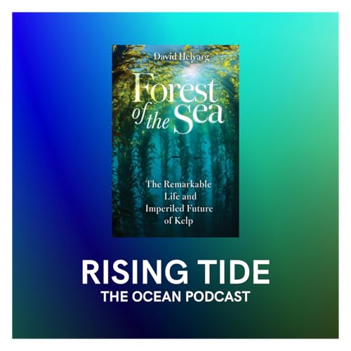 Helvarg on the &lsquo;Forest of the Sea&rsquo;