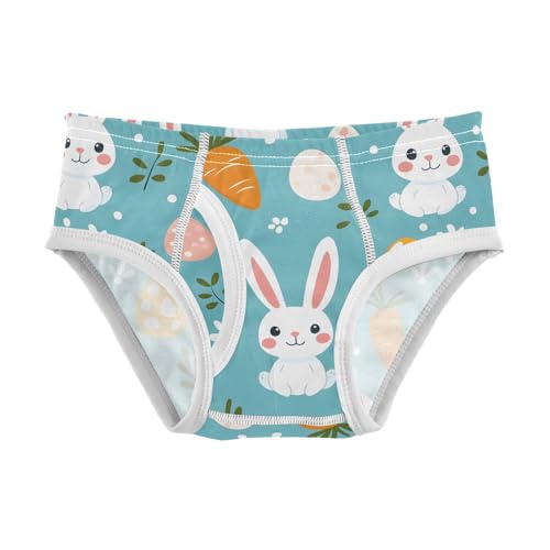 Cute Easter Bunny Rabbits Toddler Boy's Underwear 2T 202b9080
