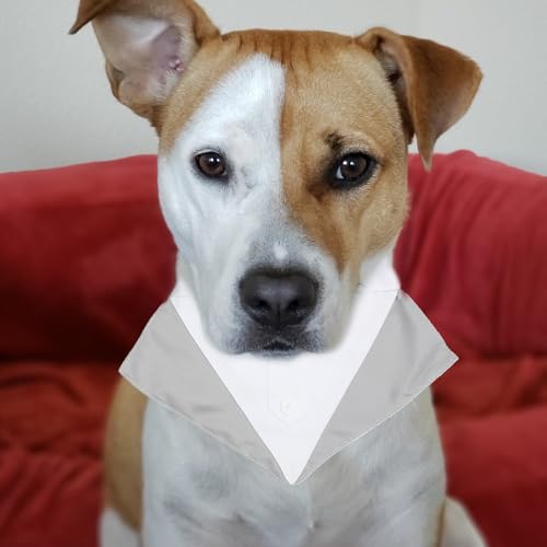 Disfraz de perro esmoquin para boda con pañuelo gris, talla M miniatura 6
