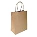  Brown Kraft Bags 8"x4.75"x10" - 100 Pcs - Brown Kraft Paper Bags, 95% POST CONSUMER MATERIALS & FSC CERTIFIED (Plain)