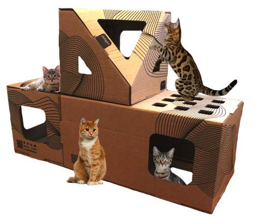 Brinquedo Casa Toca para Gatos Cubo + Retângulo + Poli