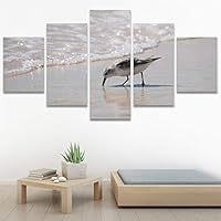 SIGNWIN 5 Panel Canvas Wall Art Birds Farmhouse/Country Group Group Multicolor Photography Realism Relax/Calm Warm for Home Decorations Ready to Hang - 60