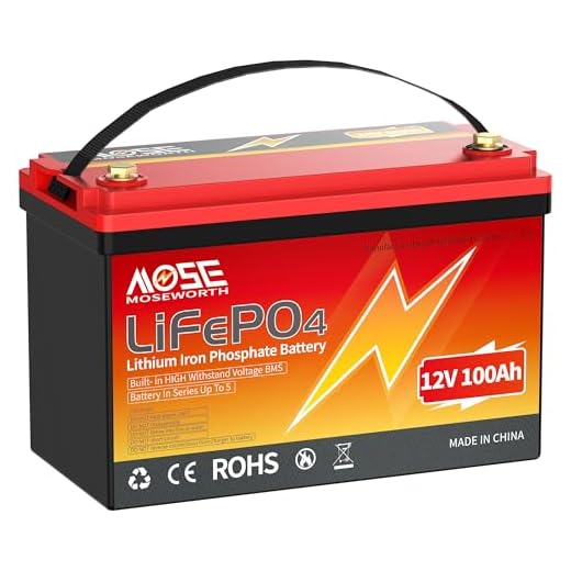 12V 100Ah Lithium Battery with BMS
