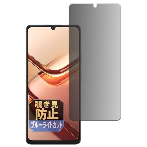 Leipsden フィルム DOOGEE Note 58 / 58 Pro 対応 保護フィルム 覗き見防止 プライバシー 覗き見防止 反射低減 日本製