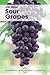 Sour Grapes (Cambridge Philosophy Classics)