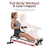 Sunny Health & Fitness SF-RW1205 Rowing Machine Rower w/ 12 Level Adjustable Resistance, Digital Monitor and 100 KG Max Weight