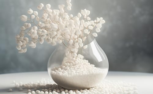 Image of CONSDAN 2 LBS Natural Gravel for Fish Tank, StoneCreek Betta Fish Aquarium Gravel, Vase Filler, River Rocks, Fish Tank Decorations, Perfect for Aquarium Decor, Fish Tank, & Indoor Plant, White