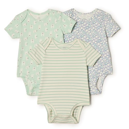 Amazon Essentials x Sofia Grainge Unisex Babies' Short Sleev