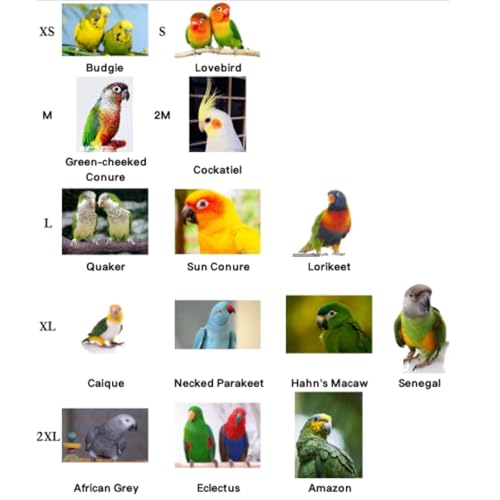 Image of Pet Parrot Anti-bite Elizabethan Collars, Anti-Grab Feather Plucking Wound Healing Safety Recovery Collar Cones for Budgerigar Lovebird Conure Cockatiel Cockatoo Random Color (M)
