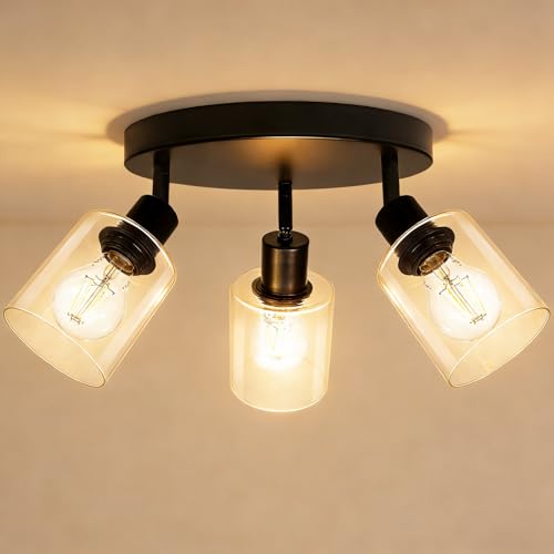 HiBay 3-Light Track Lighting Fixtures Ceiling Glass Directional Spotlight