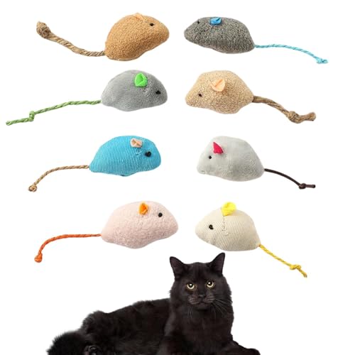 Lifetips {xC Bombay Lp lY~ʂ 8Zbg qL L V XgXU ^s ӂӂf L炵  ybgObY