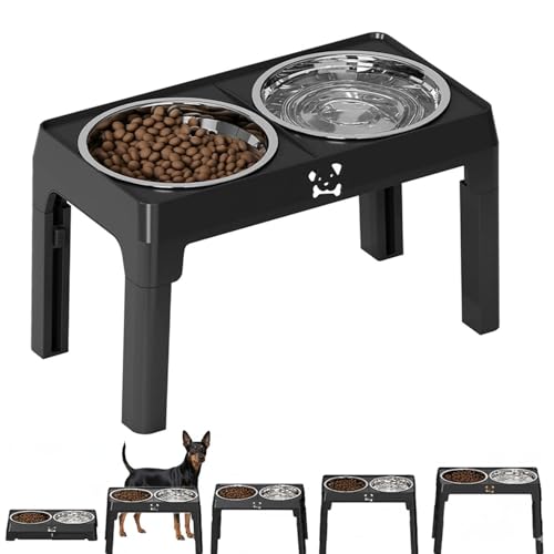 Lifetips gC}`FX^[eA Lp H t[h{EX^h {E  ܂肽 pT|[g Hׂ₷ Hh~ 􂢂₷ ~  i5iK ubNj