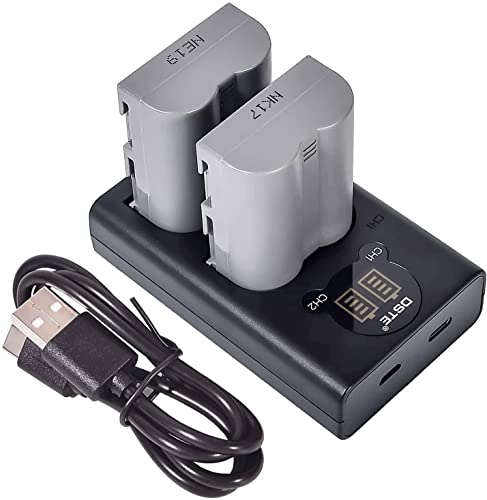 Ricarica rapida con controllo automatico della corrente costante impedisce batteria dal sovraccarico, corto circuito, e shock elettronico