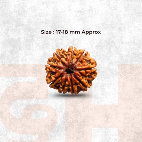 Image of Divine Hindu Original 9 Mukhi (Nine Face) Indonesia Rudraksha | Nau Mukhi Rudraksh Bead for Meditation, Protection & Spiritual Growth | Natural Rudraksha for Men & Women | Prayer Bead for Success