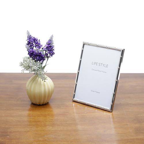 Porta-Retrato de Aço Bambu Prata 15cm x 20cm - Wolff