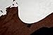 MustMat Brown Cow Print Rug 55.1