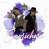 Al Sur