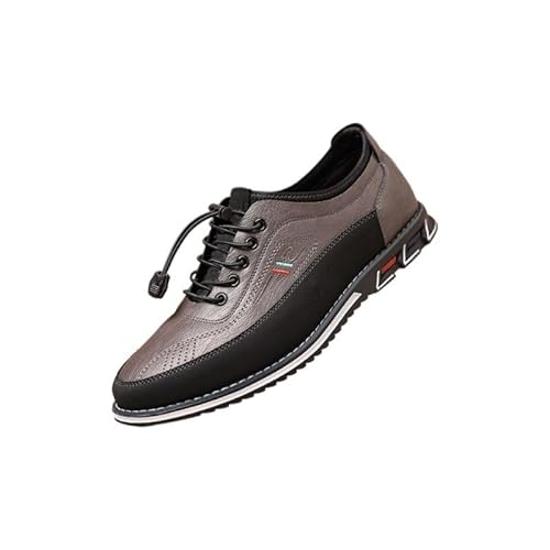 [ZebrApril] 2025H Y hCrOV[Y Xb| U[ y NbV JWAp (24.0 cm,O[) [sAi]