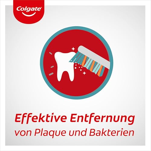Colgate Zahnbürste für Unterwegs, weich, 4 Stück, faltbar - Reisezahnbürste in kompakter Größe ideal für Koffer und Taschen