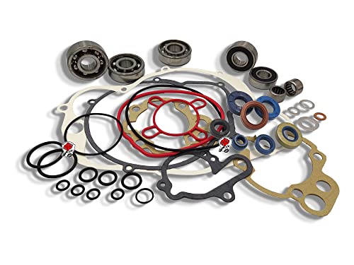 KIT REVISIONE MOTORE COMPLETO AM345 AM6 Cuscinetti...