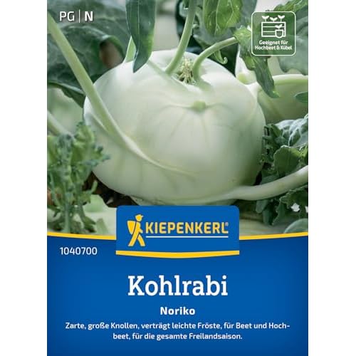 Kiepenkerl Kohlrabisamen Noriko 1040700 - zarte, große Knollen - verträgt leichte Fröste - Freilandsaison - Samen Gemüse, Saatgut, Gemüsepflanzen